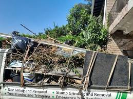 Best Garage Cleanout  in Brambleton, VA